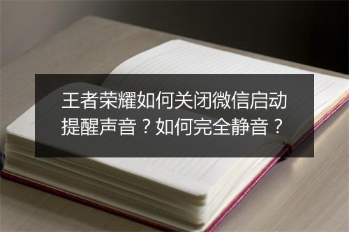 王者荣耀如何关闭微信启动提醒声音?如何完全静音?