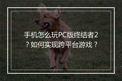 手机怎么玩PC版终结者2?如何实现跨平台游戏?