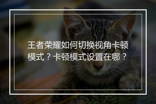 王者荣耀如何切换视角卡顿模式？卡顿模式设置在哪？
