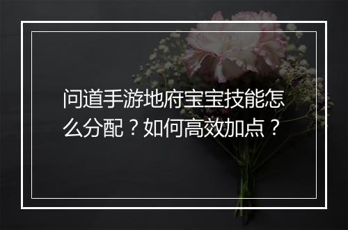 问道手游地府宝宝技能怎么分配?如何高效加点?