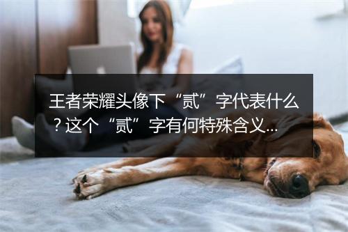 王者荣耀头像下“贰”字代表什么?这个“贰”字有何特殊含义?