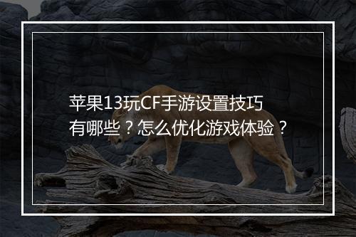 苹果13玩CF手游设置技巧有哪些?怎么优化游戏体验?