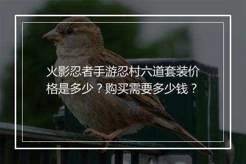火影忍者手游忍村六道套装价格是多少?购买需要多少钱?