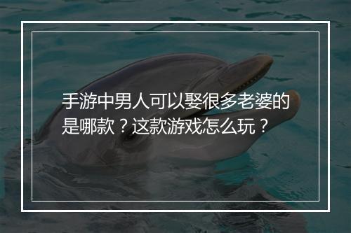 手游中男人可以娶很多老婆的是哪款？这款游戏怎么玩？