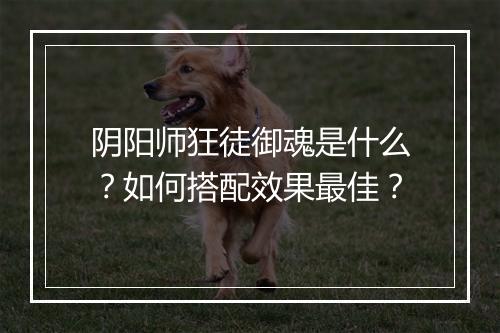 阴阳师狂徒御魂是什么？如何搭配效果最佳？