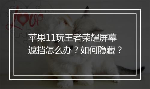 苹果11玩王者荣耀屏幕遮挡怎么办?如何隐藏?