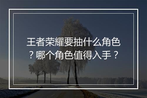 王者荣耀要抽什么角色?哪个角色值得入手?