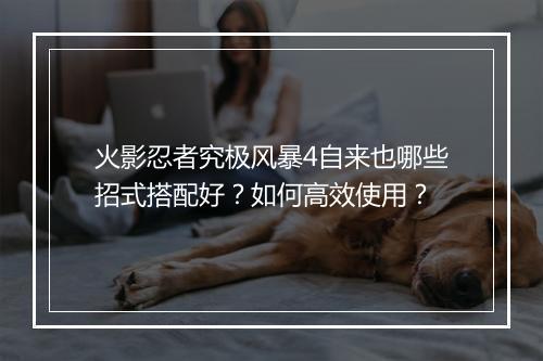 火影忍者究极风暴4自来也哪些招式搭配好?如何高效使用?