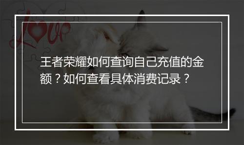王者荣耀如何查询自己充值的金额?如何查看具体消费记录?