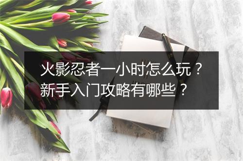 火影忍者一小时怎么玩?新手入门攻略有哪些?