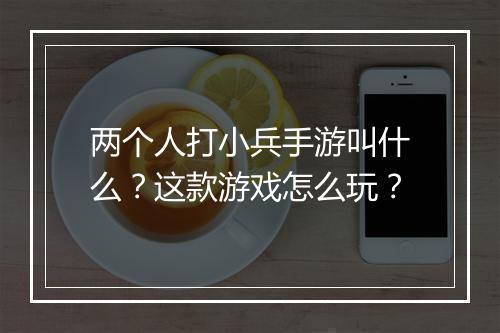 两个人打小兵手游叫什么?这款游戏怎么玩?