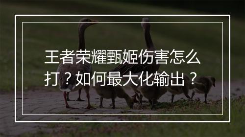 王者荣耀甄姬伤害怎么打?如何最大化输出?