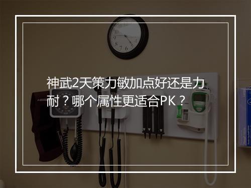 神武2天策力敏加点好还是力耐?哪个属性更适合PK?