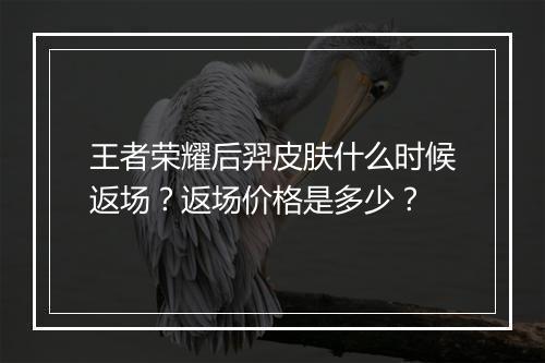 王者荣耀后羿皮肤什么时候返场?返场价格是多少?