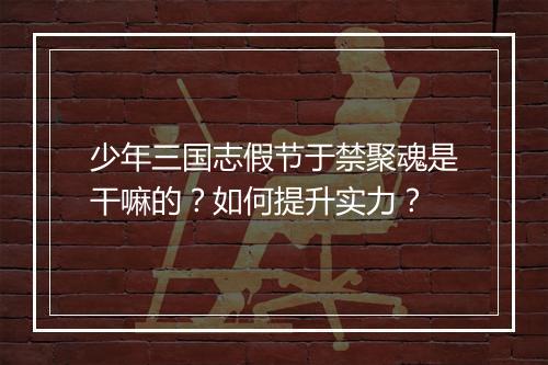 少年三国志假节于禁聚魂是干嘛的?如何提升实力?
