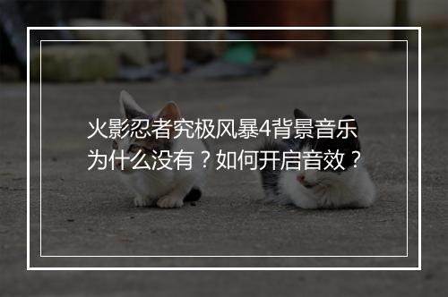 火影忍者究极风暴4背景音乐为什么没有?如何开启音效?