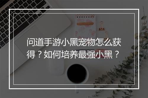 问道手游小黑宠物怎么获得?如何培养最强小黑?
