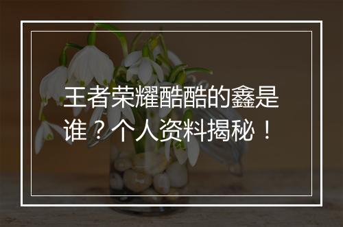 王者荣耀酷酷的鑫是谁?个人资料揭秘!