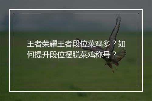 王者荣耀王者段位菜鸡多？如何提升段位摆脱菜鸡称号？