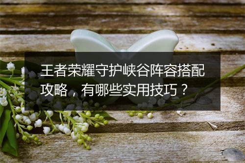 王者荣耀守护峡谷阵容搭配攻略,有哪些实用技巧?