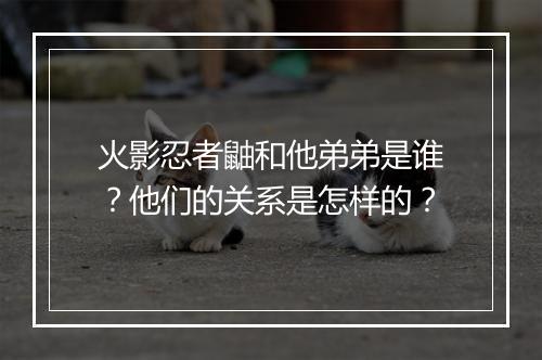 火影忍者鼬和他弟弟是谁?他们的关系是怎样的?