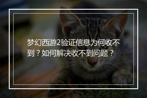 梦幻西游2验证信息为何收不到?如何解决收不到问题?