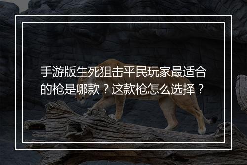 手游版生死狙击平民玩家最适合的枪是哪款?这款枪怎么选择?