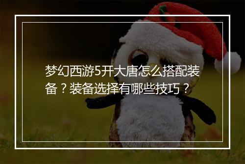 梦幻西游5开大唐怎么搭配装备?装备选择有哪些技巧?