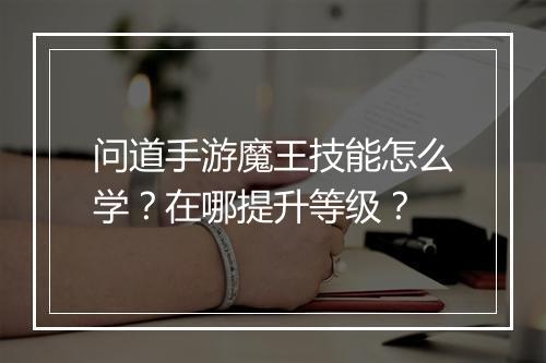 问道手游魔王技能怎么学？在哪提升等级？
