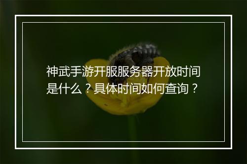 神武手游开服服务器开放时间是什么?具体时间如何查询?
