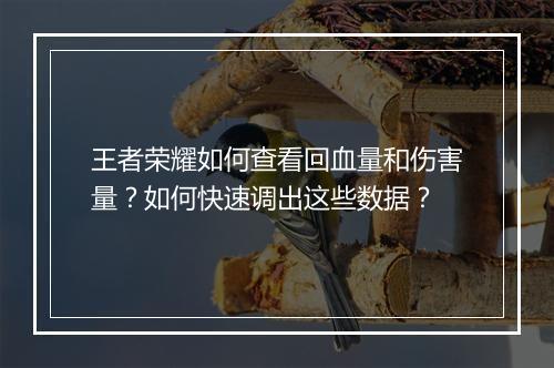 王者荣耀如何查看回血量和伤害量?如何快速调出这些数据?