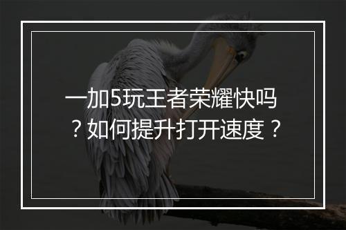 一加5玩王者荣耀快吗?如何提升打开速度?
