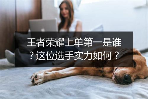 王者荣耀上单第一是谁?这位选手实力如何?