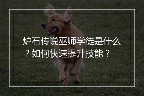炉石传说巫师学徒是什么?如何快速提升技能?