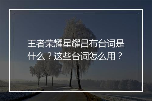 王者荣耀星耀吕布台词是什么？这些台词怎么用？