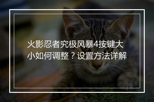 火影忍者究极风暴4按键大小如何调整?设置方法详解