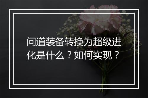 问道装备转换为超级进化是什么?如何实现?