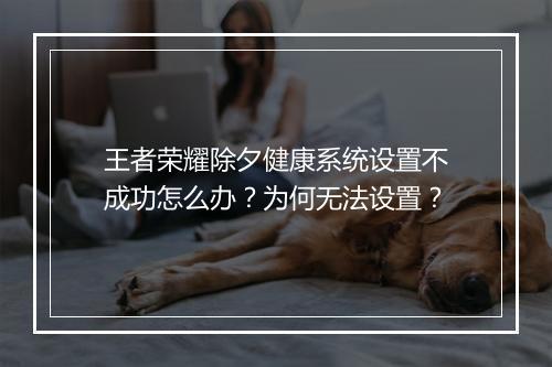 王者荣耀除夕健康系统设置不成功怎么办?为何无法设置?