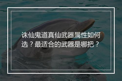 诛仙鬼道真仙武器属性如何选?最适合的武器是哪把?