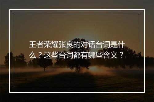 王者荣耀张良的对话台词是什么？这些台词都有哪些含义？