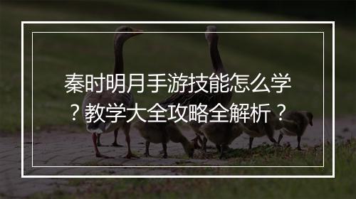 秦时明月手游技能怎么学？教学大全攻略全解析？