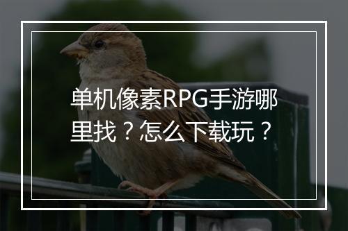单机像素RPG手游哪里找?怎么下载玩?