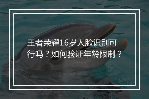 王者荣耀16岁人脸识别可行吗？如何验证年龄限制？