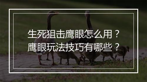 生死狙击鹰眼怎么用？鹰眼玩法技巧有哪些？