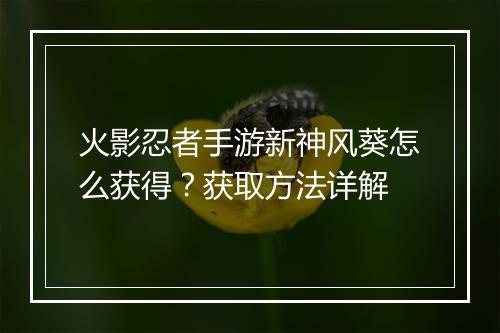 火影忍者手游新神风葵怎么获得？获取方法详解