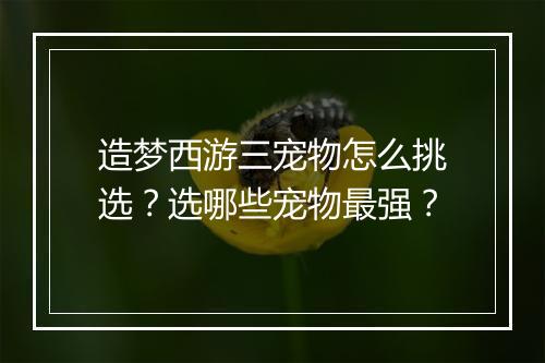 造梦西游三宠物怎么挑选?选哪些宠物最强?