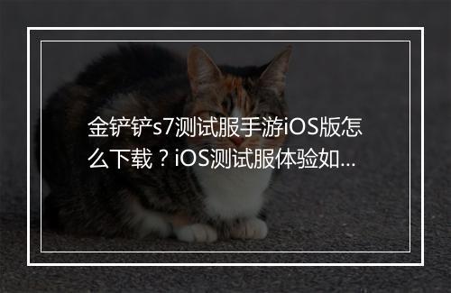 金铲铲s7测试服手游iOS版怎么下载?iOS测试服体验如何?