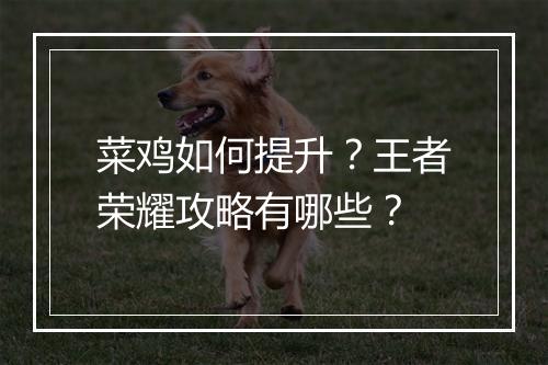 菜鸡如何提升?王者荣耀攻略有哪些?