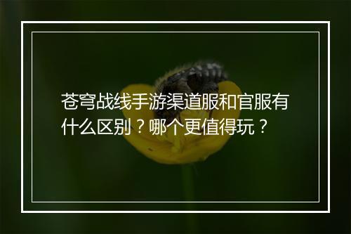 苍穹战线手游渠道服和官服有什么区别?哪个更值得玩?