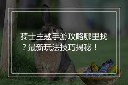 骑士主题手游攻略哪里找?最新玩法技巧揭秘!